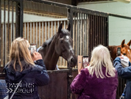 AH190423-49 - Anthony Honeyball Stable Visit